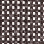 Marrone testa di moro